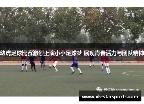 幼虎足球比赛激烈上演小小足球梦 展现青春活力与团队精神